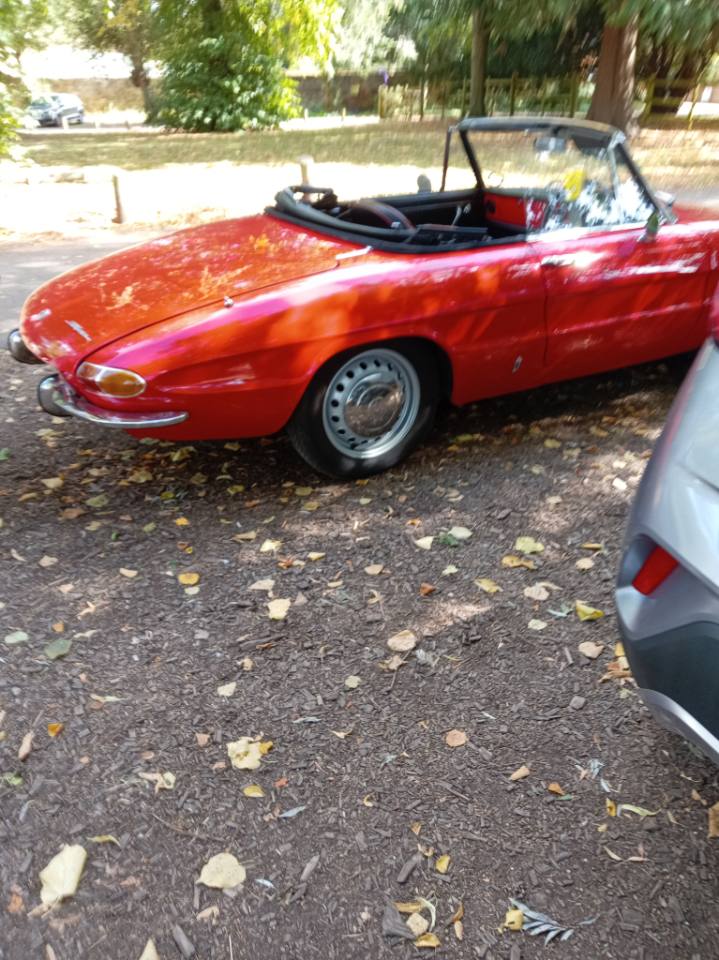 Alfa Romeo Spider Series 1 / Series 2 (105/115) spotted by Carlover