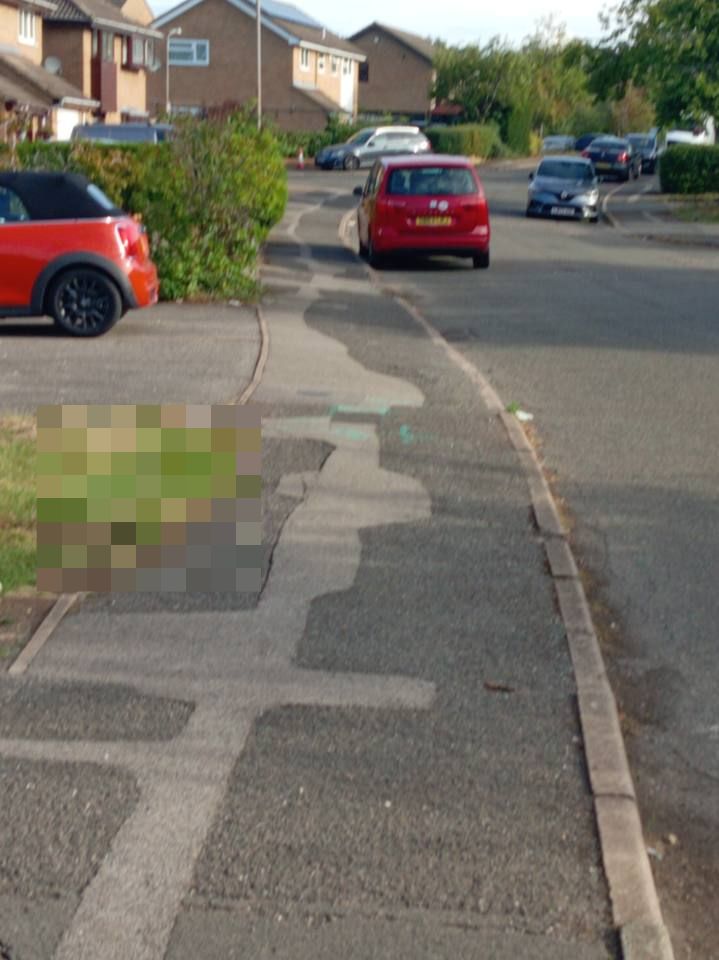 SEAT Alhambra 2nd Gen (7N) spotted by Carlover